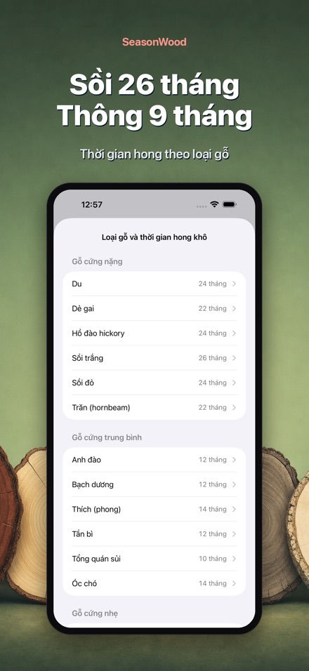 SeasonWood: Quản lý củi khô 7