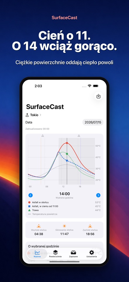 SurfaceCast: temperatura 5
