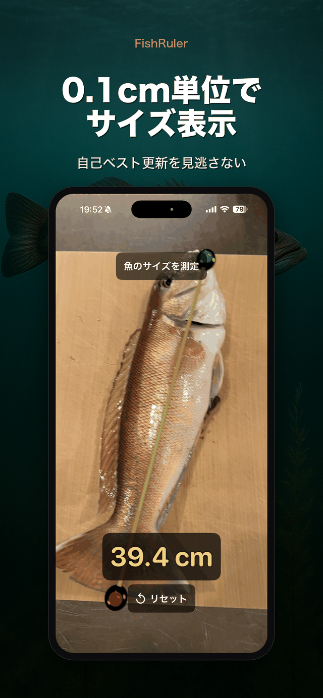 0.1cm単位